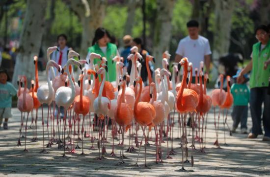＠考生们，上海一波景区推出免票及优惠专属福利-第6张图片-ZBLOG