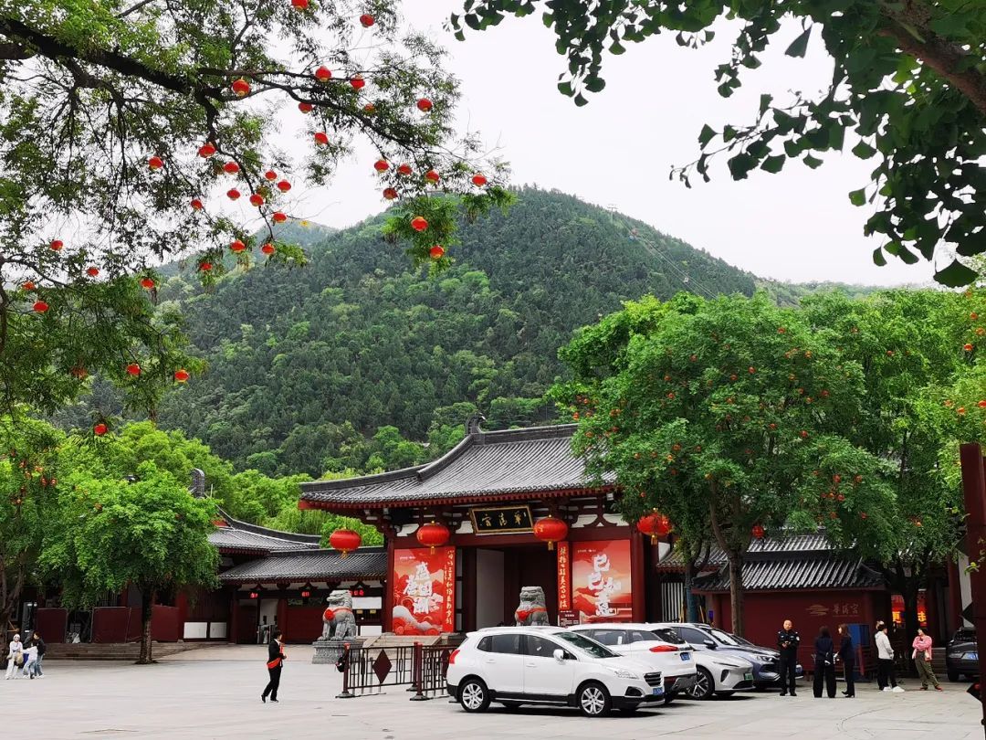 这张证别丢！上海多个景区明确：即日起限时特惠！-第6张图片-ZBLOG