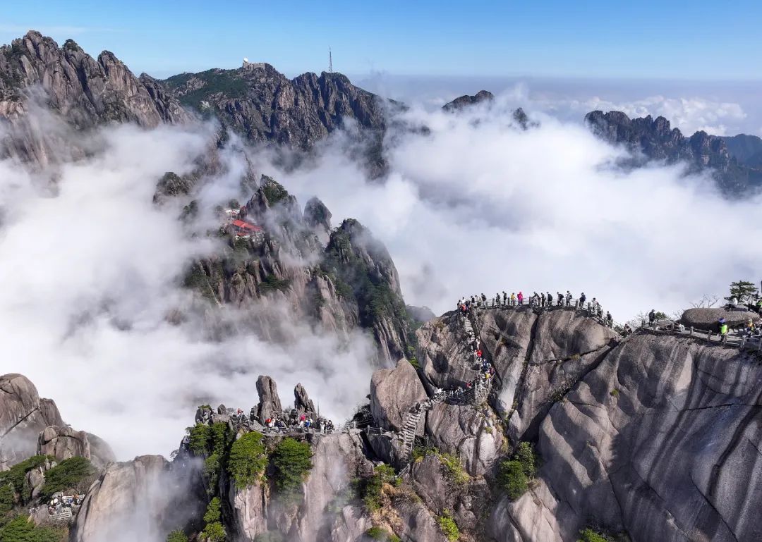 这张证别丢！上海多个景区明确：即日起限时特惠！-第7张图片-ZBLOG