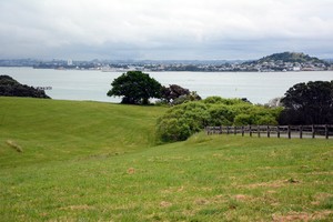 澳新行（2）：火山上的城市奥克兰-第42张图片-ZBLOG