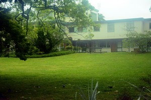 澳新行（2）：火山上的城市奥克兰-第8张图片-ZBLOG