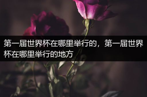 第一届世界杯在哪里举行的，第一届世界杯在哪里举行的地方