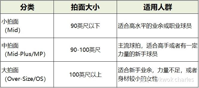 [2025年]新手&进阶网球拍推荐：网球拍怎么选？什么牌子的网球拍好？简单四步完成选购+主流品牌推荐-第2张图片-ZBLOG