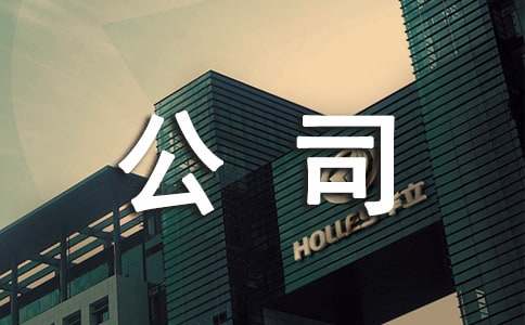 新公司组建方案